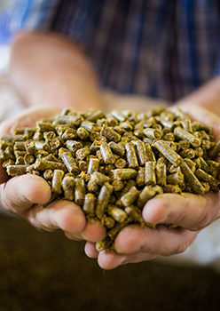 bob综合体育平台:美农生物：子公司乐陵美农收到《饲料出产答应证