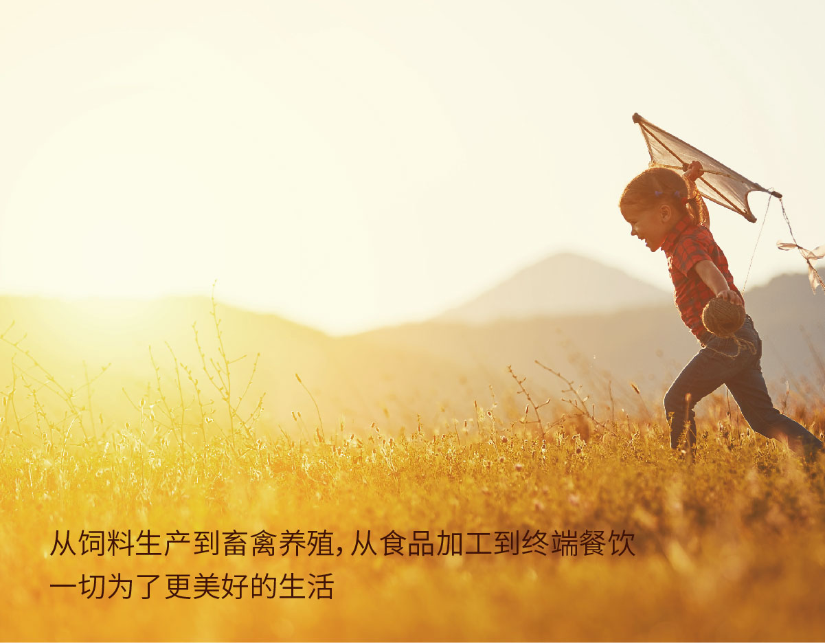 bob综合体育平台