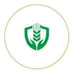 鲍勃体育最新地址